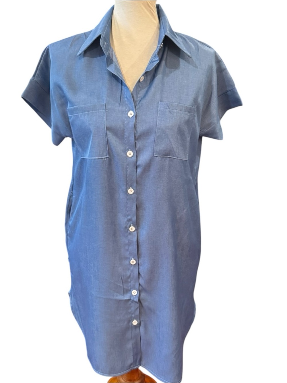 New Button-Front Chambray Shirt Dress in Blue Sz M